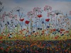 "Field of Colour"