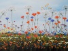 "Field of Silver Lining"