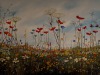 "Field of Warmth"