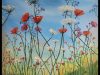 "Field of comfort"
