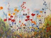 "Field of Passion"