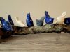 Wijnrank met 9 handgemaakte musjes