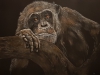 "Monkey Business II"