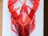"Red Lobster"