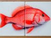 "Red Snapper"